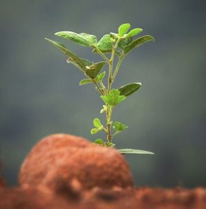 Our team in the rainforest