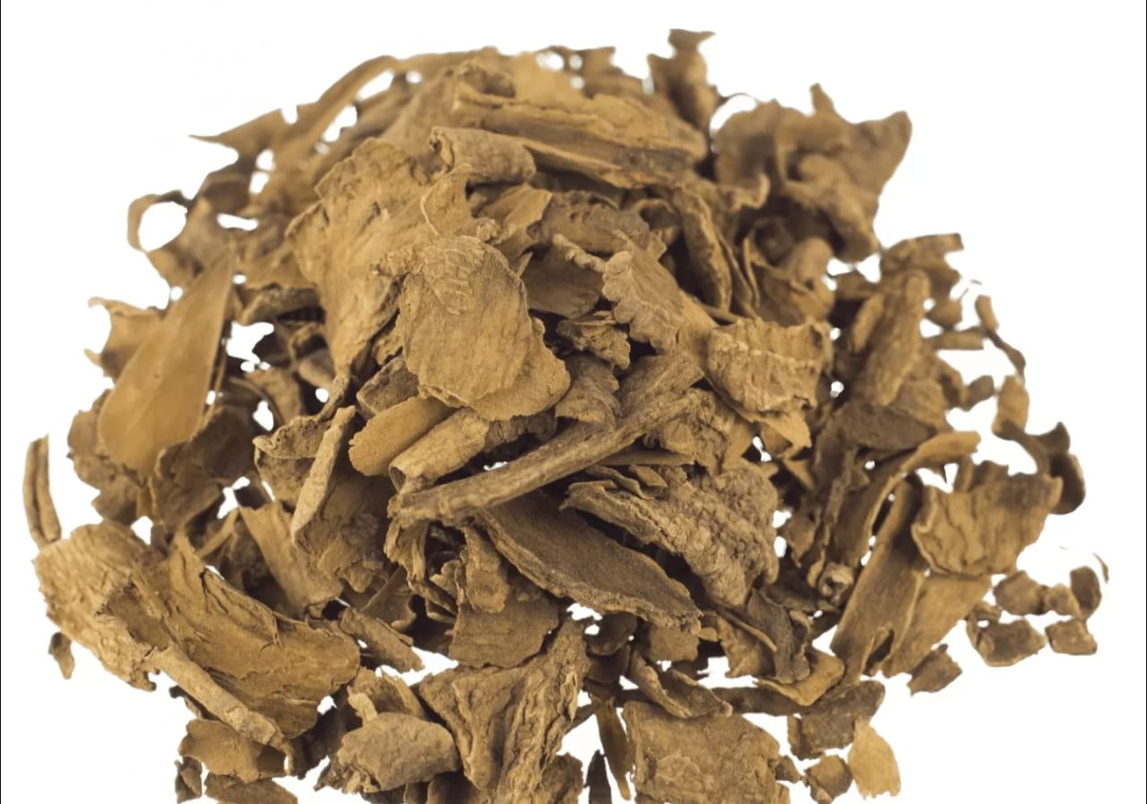 Buy Voacanga Africana online Image 2